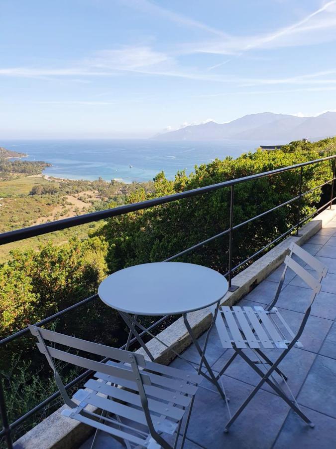 Les Hauts De Fromentica Saint-Florent  Eksteriør billede